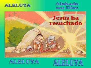 Jesús ha  resucitado ALELUYA Alabado  sea Dios ALELUYA ALELUYA 