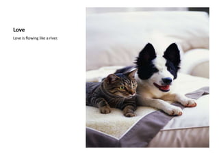 LoveLove is flowing like a river.