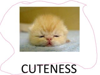 CUTENESS