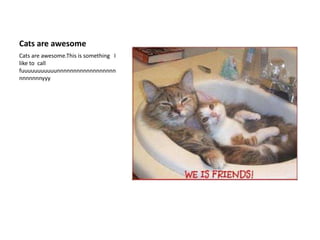 Cats are awesomeCats are awesome.This is something   I like to  call fuuuuuuuuuuunnnnnnnnnnnnnnnnnnnnnnnnnyyy