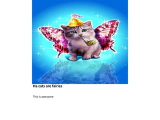 Ha cats are fairiesThis is awesome