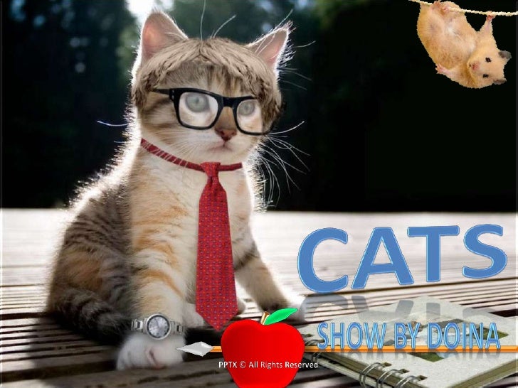 CATS<br />SHOW BY DOINA<br />PPTX © All Rights Reserved<br />Music: Gracia - William Tell Overture (Rossini)<br />