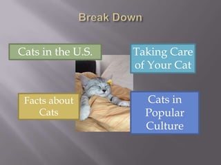 Break DownTaking Care of Your CatCats in the U.S.Cats in Popular CultureFacts about Cats