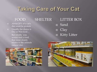 Taking Care of Your CatLITTER BOXSandClayKitty LitterSHELTERFOODAbout 20% of a cat's diet must be proteinUsually the choice is Dry or Wet food…	But ideally  you would find a food that most closely relates to the animals natural diet.