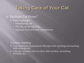 Taking Care of Your CatMultiple Cat Home? Cats in groupsIntroducing catsPlaying versus fightingSeparate food and litter (sometimes) Territory markingCats sometimes communicate through urine spraying and marking with scent glands.Cats also use their claws to show their territory (scratching furniture etc)
