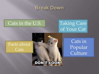 Break DownCats in the U.S.Taking Care of Your CatCats in Popular CultureFacts about Cats
