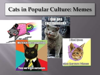Cats in Popular Culture: Memes