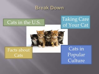 Break DownTaking Care of Your CatCats in the U.S.Cats in Popular CultureFacts about Cats