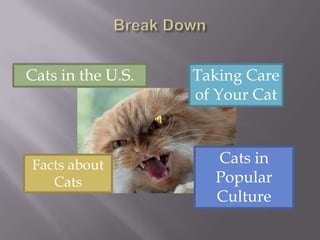 Break DownCats in the U.S.Taking Care of Your CatCats in Popular CultureFacts about Cats