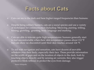 Facts about CatsCats can see in the dark and hear higher ranged frequencies than humans.Despite being solitary hunters, cats are a social species and use a variety of techniques for communication including: Meowing, purring, trilling, hissing, growling,  grunting, body language and marking.  Cats are able to tolerate quite high temperatures: humans generally start to feel uncomfortable when their skin temperature passes about 112 °F but cats show no discomfort until their skin reaches around 126 °F.To aid with navigation and sensation, cats have dozens of movable whiskers over their body, especially their face. These provide information on the width of gaps and on the location of objects in the dark, both by touching objects directly and by sensing air currents; they also trigger protective blink reflexes to protect the eyes from damage.Source: Wikipedia