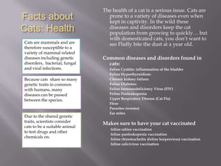 Facts about Cats: HealthCats are mammals and are therefore susceptible to a variety of mammal related diseases including genetic disorders,  bacterial, fungal and viral infections. The health of a cat is a serious issue. Cats are prone to a variety of diseases even when kept in captivity. In the wild these diseases and disorders keep the cat population from growing to quickly… but with domesticated cats, you don’t want to see Fluffy bite the dust at a year old.Common diseases and disorders found in cats:Feline Cystitis: inflammation of the bladder	Feline Hyperthyroidism:	Chronic kidney failure:	Feline Diabetes:	Feline Immunodeficiency Virus (FIV)	Feline Panleukopenia:	Upper Respiratory Disease (Cat Flu)	Fleas	Parasites (worms)	Ear mitesMakes sure to have your cat vaccinatedfeline rabies vaccination		feline panleukopenia vaccination		feline rhinotracheitis (feline herpesvirus) vaccination		feline calicivirus vaccinationBecause cats  share so many genetic traits in common with humans, many diseases can be passed between the species.Due to the shared genetic traits, scientists consider cats to be a suitable animal to test drugs and other chemicals on. 