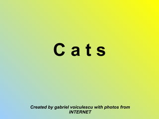C a t s Created by gabriel voiculescu with photos from INTERNET 