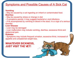 Symptoms and Possible Causes of A Sick Cat Vomiting May be caused by a cat ingesting an irritant or contaminated food. Diarrhea - May be caused by stress or change in diet If symptoms persist, it may suggest bacterial or viral infections If its accompanied by vomiting or blood in the stool, it is a sign of a serious disorder. Liver Disease Liver may be damaged Liver malfunction may include vomiting, diarrhea, excessive thirst and abdominal pain. Diabetes - Symptoms may include frequent urination, excessive thirst, increased of appetite and unexplained weight loss. WHATEVER SICKNESS, JUST VISIT THE VET! 