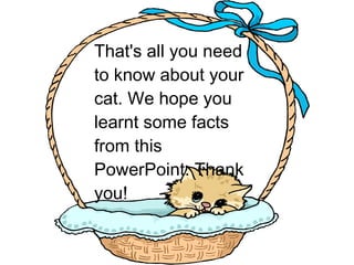 That's all you need to know about your cat. We hope you learnt some facts from this PowerPoint. Thank you!  