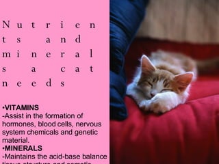 Nutrients and minerals a cat needs VITAMINS -Assist in the formation of hormones, blood cells, nervous system chemicals and genetic material. MINERALS -Maintains the acid-base balance tissue structure and osmotic pressure 