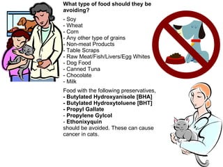 What type of food should they be avoiding? Soy Wheat Corn - Any other type of grains - Non-meat Products - Table Scraps - Raw Meat/Fish/Livers/Egg Whites - Dog Food - Canned Tuna Chocolate Milk Food with the following preservatives, - Butylated Hydroxyanisole [BHA] - Butylated Hydroxytoluene [BHT] - Propyl Gallate Propylene Gylcol Ethonixyquin should be avoided. These can cause cancer in cats. 