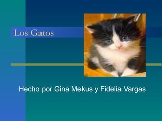 Los Gatos Hecho por Gina Mekus y Fidelia Vargas 