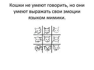 Кошки не умеют говорить, но они
умеют выражать свои эмоции
языком мимики.
 