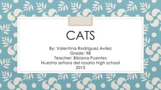 CATS
By: Valentina Rodríguez Avilez
Grade: 9B
Teacher: Bibiana Puentes
Nuestra señora del rosario high school
2015
 