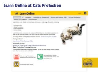 CLC Members' Seminar, September 2015 - Online Learning at Cats Protection