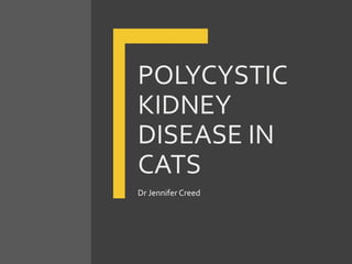 POLYCYSTIC
KIDNEY
DISEASE IN
CATS
Dr Jennifer Creed
 