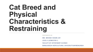 Cat Breed and
Physical
Characteristics &
Restraining
PREPARED BY
MD. MEHADI HASAN JOY
LEVEL-5;SEMESTER-1
FACULTY OF VETERINARY SCIENCE
BANGLADESH AGRICULTURAL UNIVERSITY,MYMENSINGH.
 