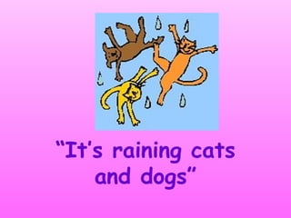 “ It’s raining cats and dogs” 