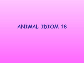 ANIMAL IDIOM 18 