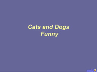 Cats and Dogs
Funny
 