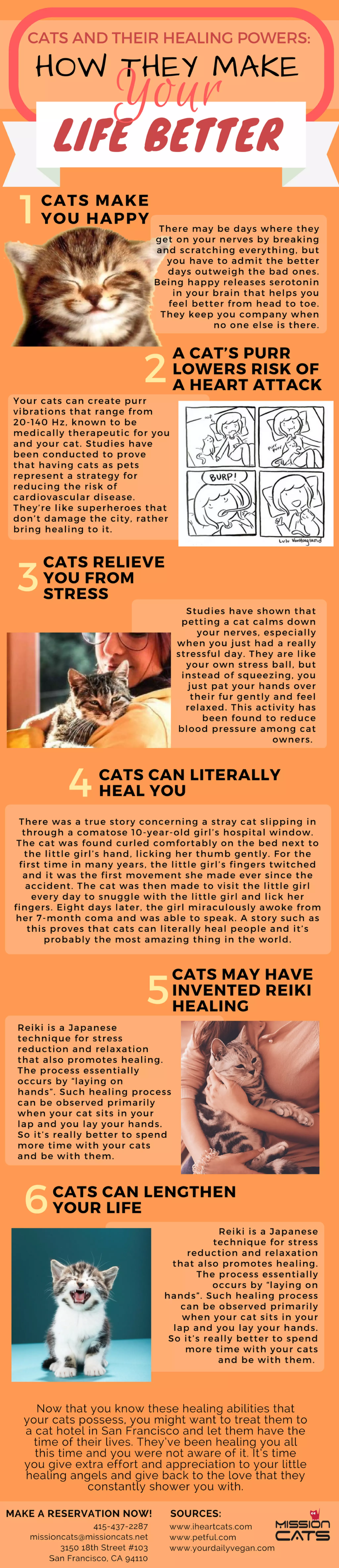 Cats and their Healing Powers How they Make Your Life Better PDF