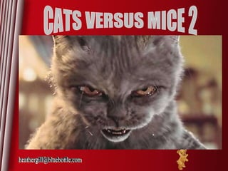 CATS VERSUS MICE 2 [email_address] 