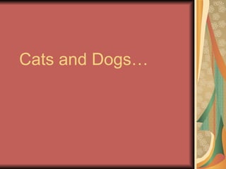 Cats and Dogs… 