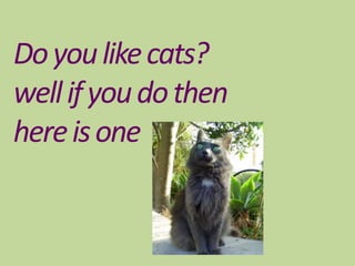 Doyoulikecats?
wellifyoudothen
hereisone
 