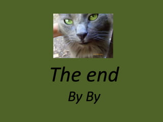 Cats