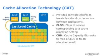 Cat @ scale | PDF