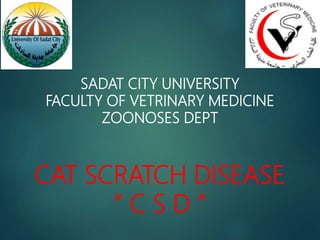 SADAT CITY UNIVERSITY
FACULTY OF VETRINARY MEDICINE
ZOONOSES DEPT
CAT SCRATCH DISEASE
“ C S D ”
 