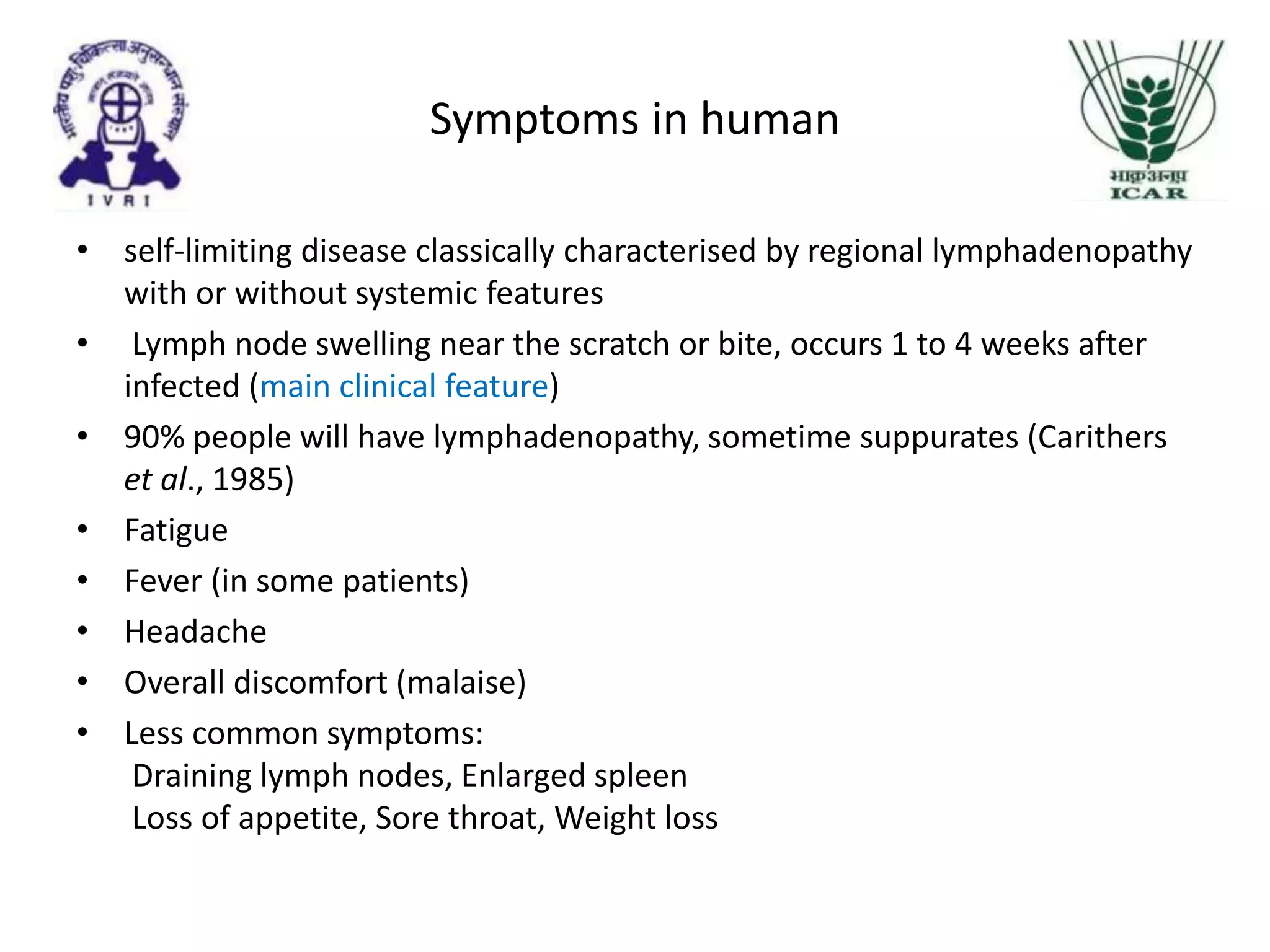 Cat scratch disease | PPTX