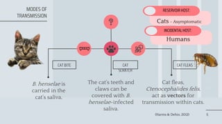 Picture of Cat Scratch Disease | PPTX