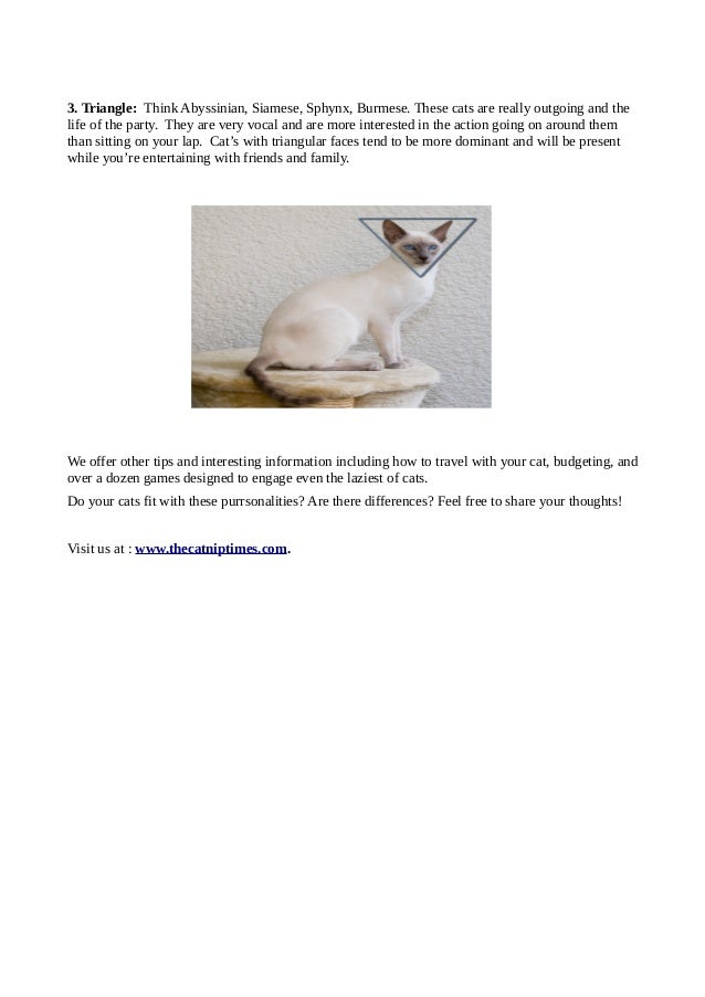 Cat’s face shape reveals personality