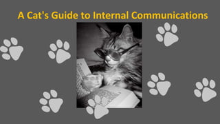 A Cat's Guide to Internal Communications
 