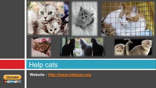 Help cats
Website : http://www.inkbean.org
 