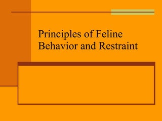 Principles of Feline Behavior and Restraint 
