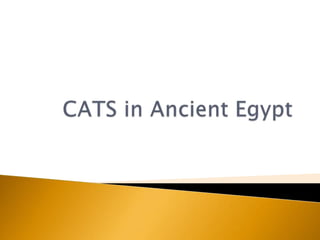 CATS in Ancient Egypt 
