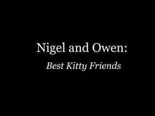 Nigel and Owen:
 Best Kitty Friends
 