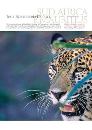 SUD AFRICA 
Tour Splendori E d’Africa 
MAURITIUS Un itinerario completo del Sudafrica: le bellezze del Mpumalanga, i safari fotografici 
nella regione del Kruger, la cosmopolita Cape Town e le leggendarie cascate Victoria. 
E per concludere un rilassante soggiorno mare all’iGV Club Sands Resort a Mauritius. 
Quote individuali a partire da 
4.370 Euro - 17 giorni/14 notti 
Vedi catalogo Africa del Sud 
 