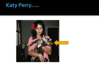 Katy Perry.....<br />