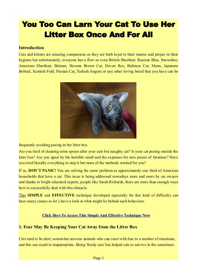 Cat Spraying Site Facebook Com Cat Spraying Site Facebook Com