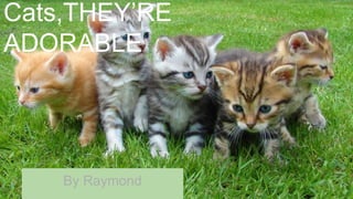 Cats,THEY’RE
ADORABLE
By Raymond
 