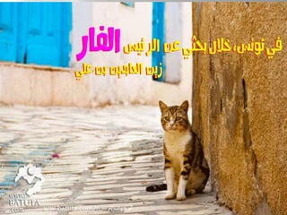 ww.batuta.com// الوجهات/تونس 
 