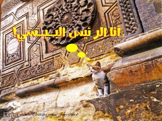 www.batuta.com// الوجهات/مصر 
 